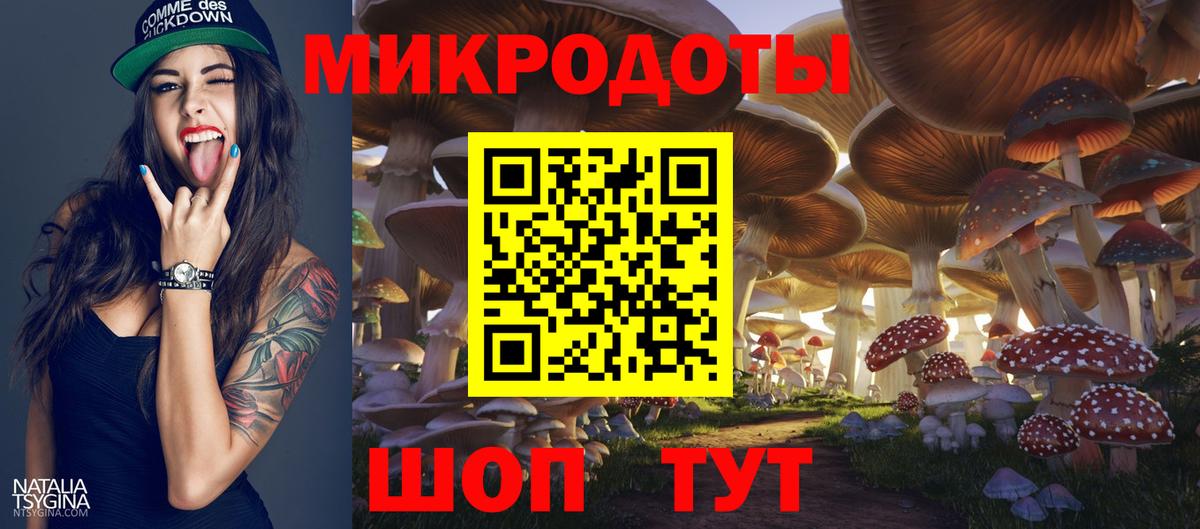 Псилоцибиновые грибы GOLDEN TEACHER  Вход с VPN  Свободный 