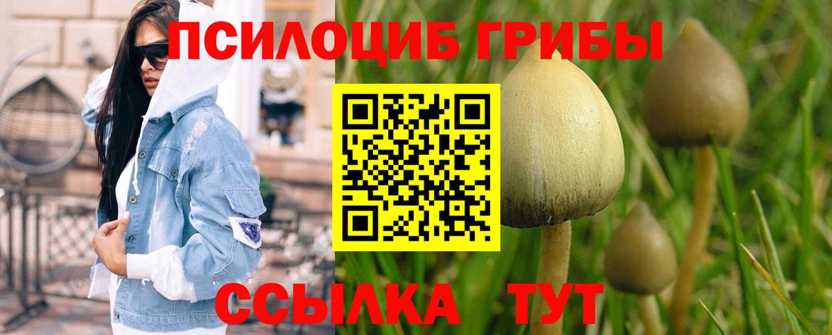 Псилоцибиновые грибы прущие грибы Свободный